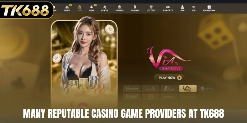 Many reputable casino game providers at TK688